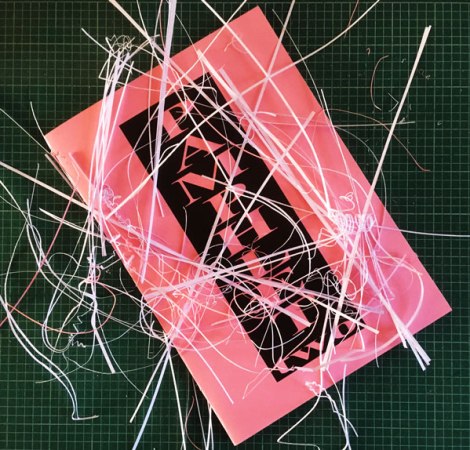 pamphlet2-tppp-image1-sm